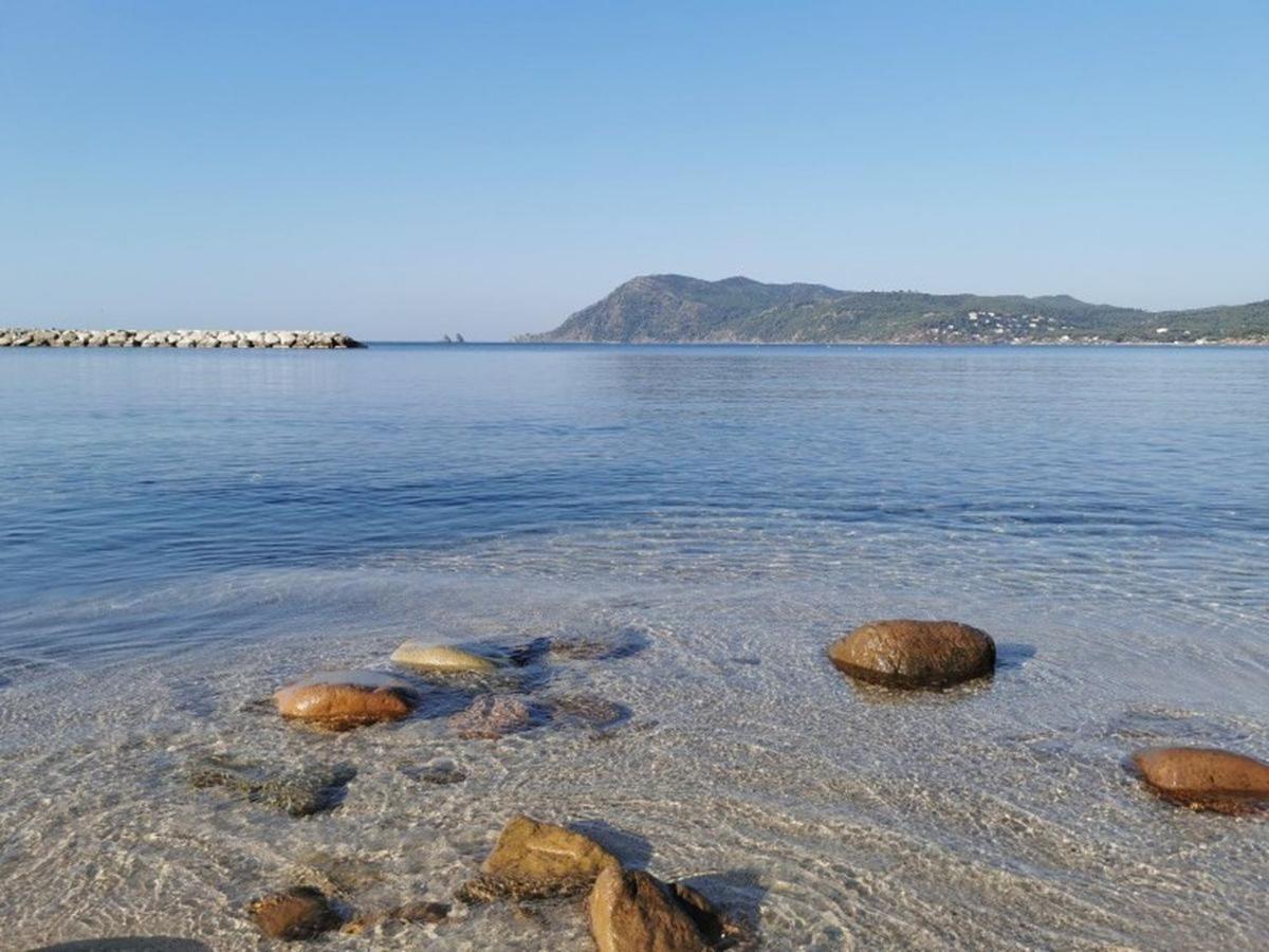 Havre De Paix A 2 Pas De L'Eau, Autonomie Leilighet Saint-Mandrier-sur-Mer Eksteriør bilde